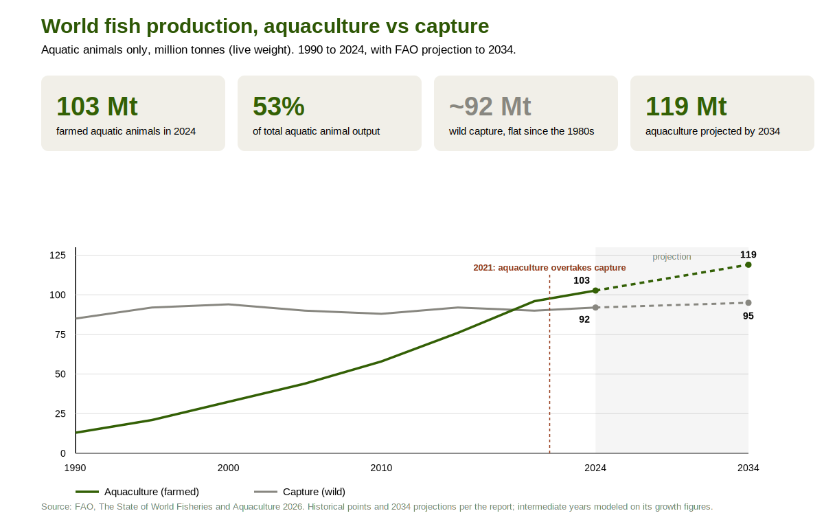 Aquaculture vs capture fisheries production 1990–2034.png